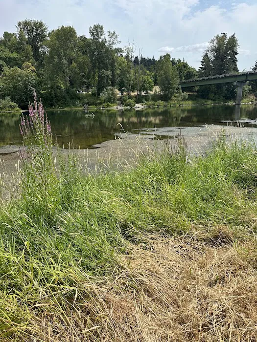 Woodland Shores RV Park Picture 2