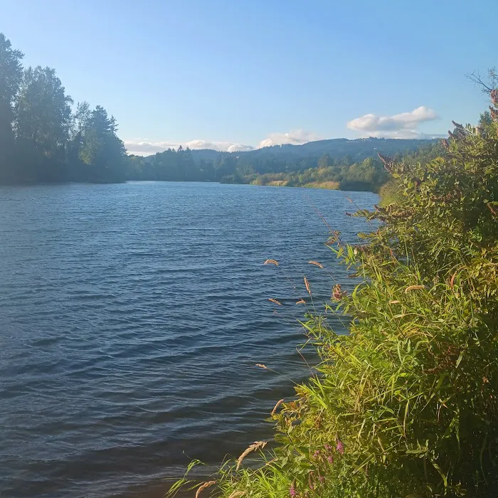 Woodland Shores RV Park Picture 3