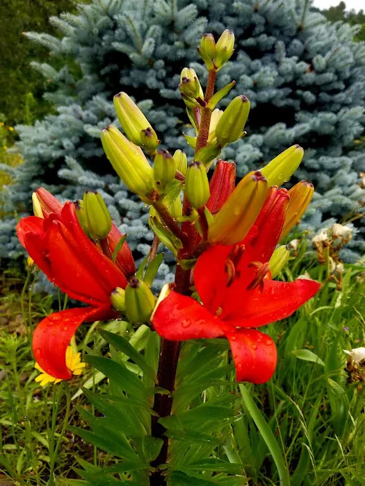 Woodland Shores RV Park Picture 6