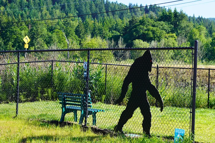 Belmont Loop RV Park Picture 2