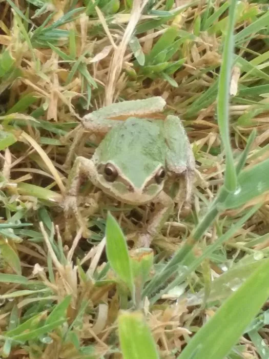 Woodland East Manufactured Community Picture 2