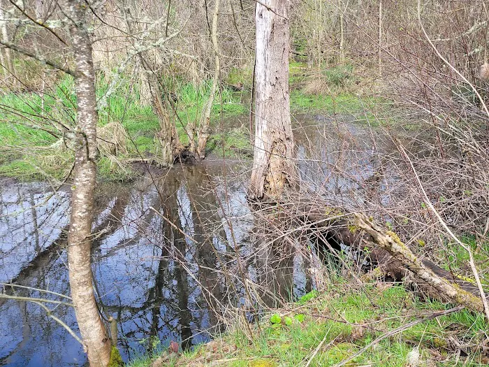 Robins Nest Motor Court Picture 1