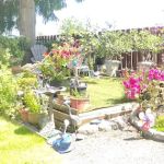 Angel Haven Mobile Home Park