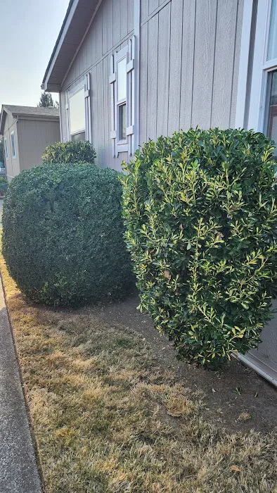 Angel Haven Mobile Home Park Picture 2