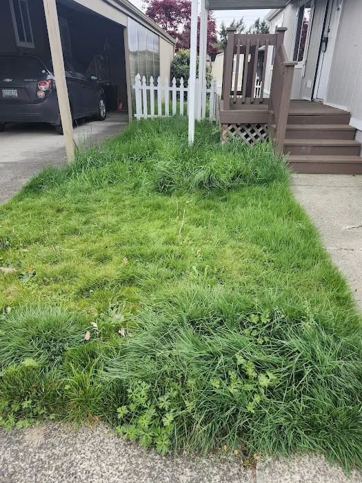 Angel Haven Mobile Home Park Picture 5