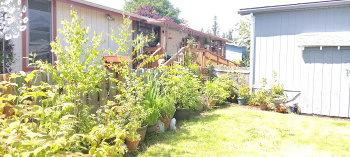 Angel Haven Mobile Home Park Picture 7