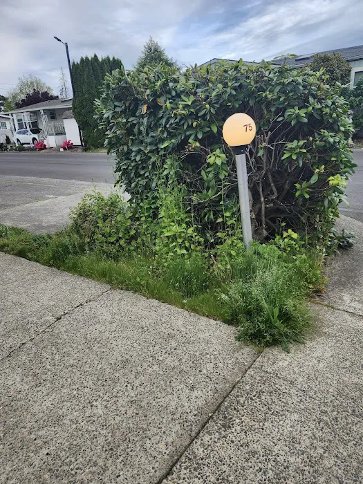 Angel Haven Mobile Home Park Picture 9