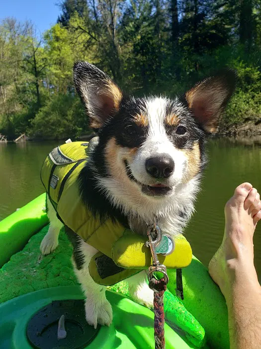 Royal Mobile Villas Picture 6