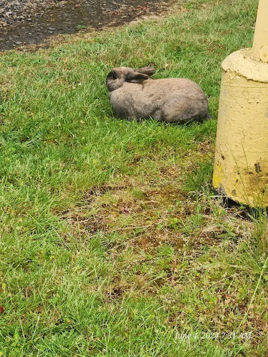 Woodburn West Mobile Estates Picture 6