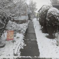 Driftwood Mobile Home Park ico