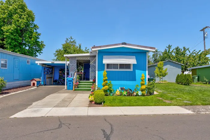 Shalimar Estates Picture 3