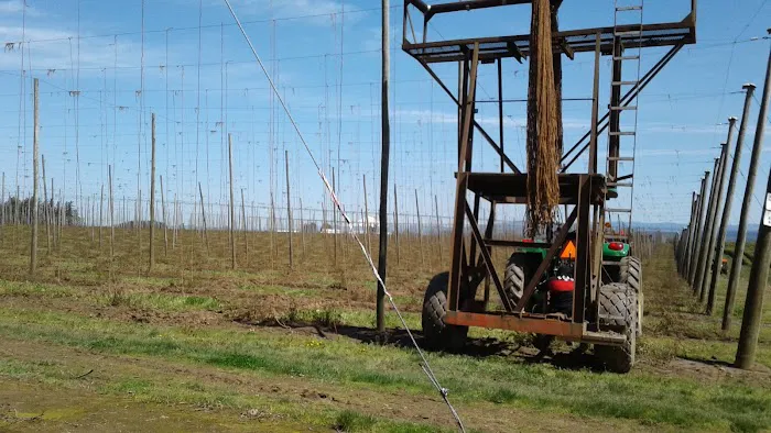 Shalimar Estates Picture 9