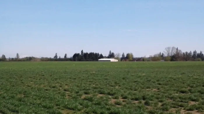 Shalimar Estates Picture 8