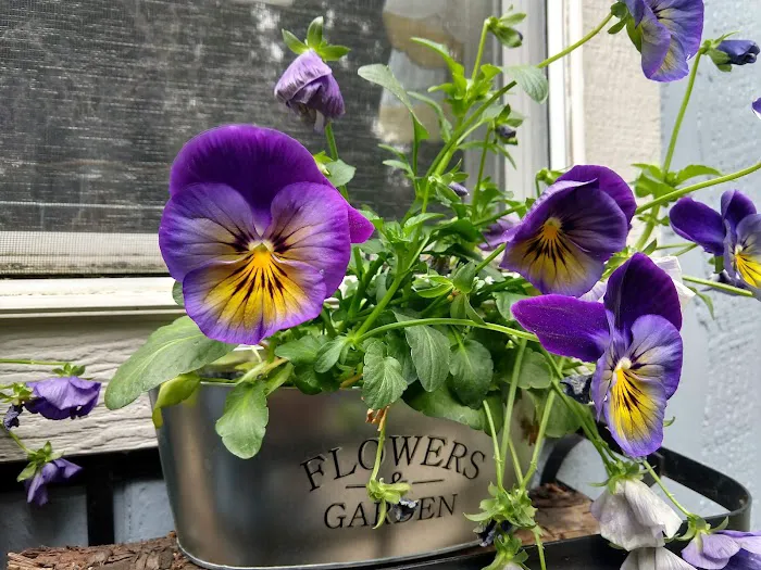 Parr Acres A Manufactured Home Community Picture 1