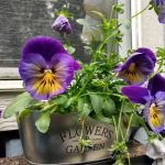 Parr Acres A Manufactured Home Community