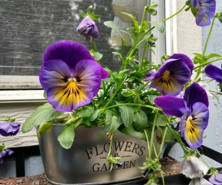 Parr Acres A Manufactured Home Community