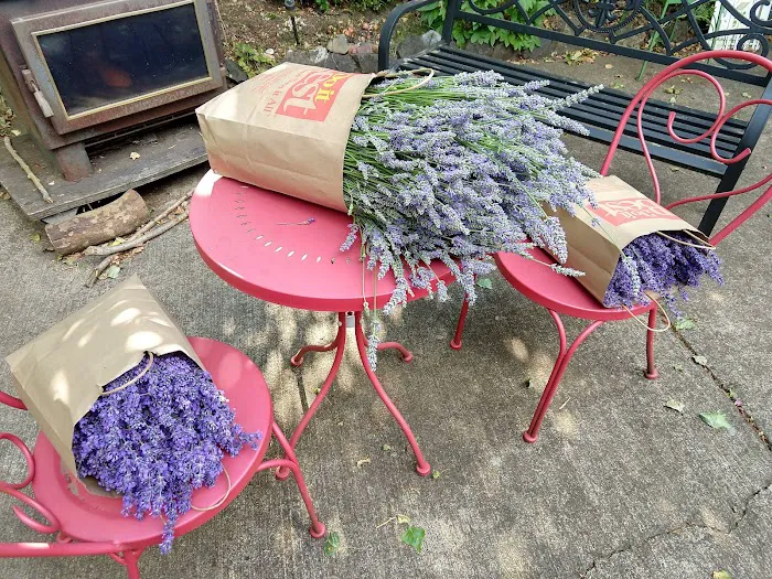 Parr Acres A Manufactured Home Community Picture 2