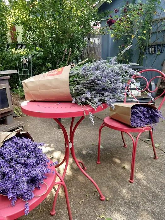 Parr Acres A Manufactured Home Community Picture 4