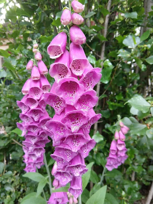 Parr Acres A Manufactured Home Community Picture 5