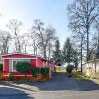 Belle Passi Estates ico