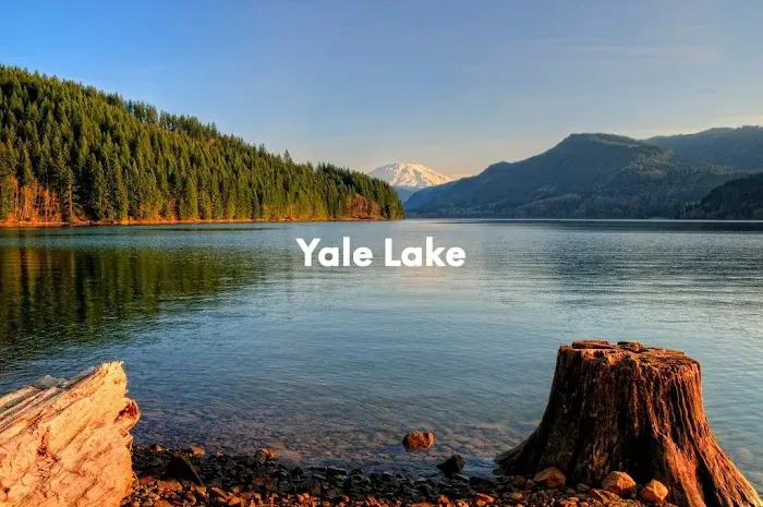 Lewis River RV Park and Country Store Picture 6