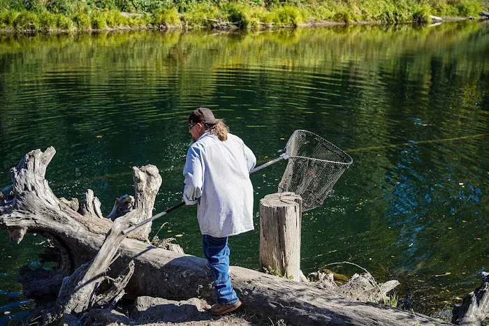 Camp Kalama RV Park Picture 3