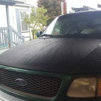 Springbrook Estates ico