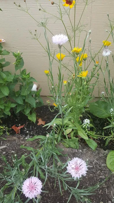 Springbrook Estates Picture 5