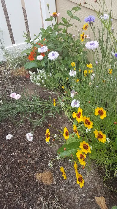 Springbrook Estates Picture 6