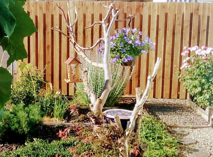 Nut Tree Ranch Mobile Estates #22 Picture 10