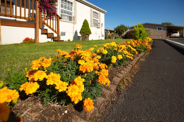 Ridgeview Village Picture 5