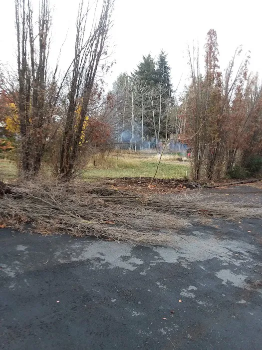 Pine Ridge Mobile Park Picture 1