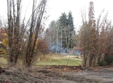 Pine Ridge Mobile Park