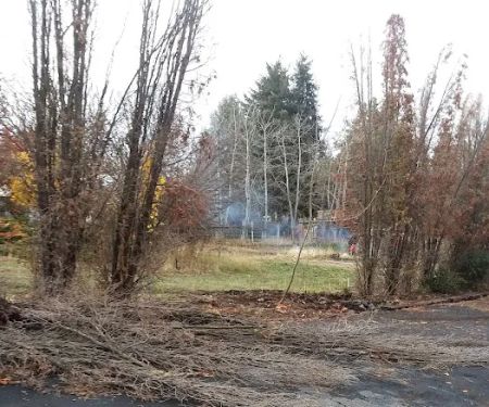 Pine Ridge Mobile Park