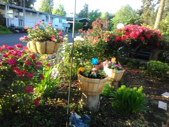 Pine Ridge Mobile Park Picture 4