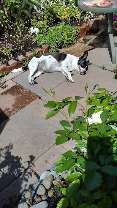 Pine Ridge Mobile Park Picture 6