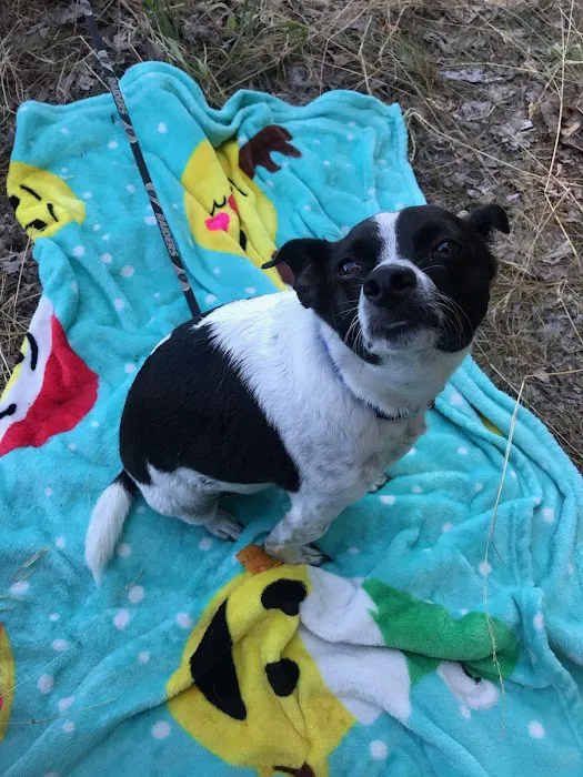 Pine Ridge Mobile Park Picture 10