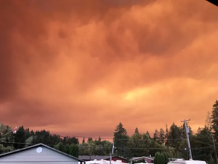 Chehalem Mobile Park Picture 4