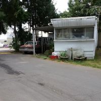 Pioneer Mobile Park ico