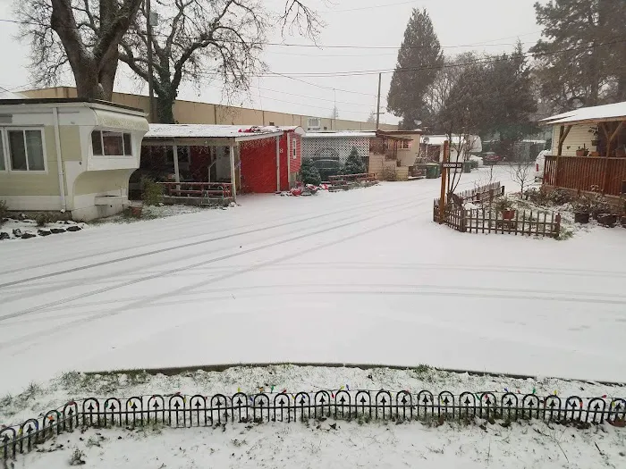 Pioneer Mobile Park Picture 2