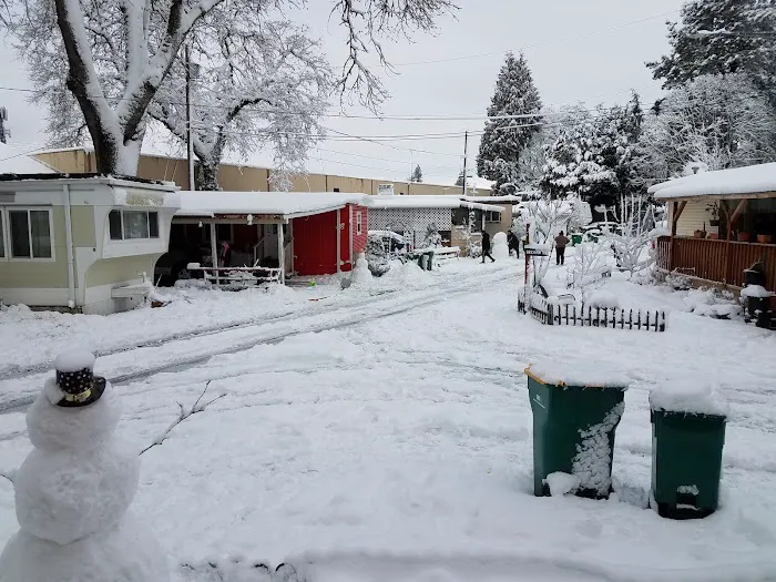 Pioneer Mobile Park Picture 3