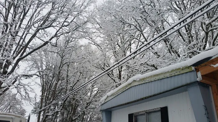 Pioneer Mobile Park Picture 4