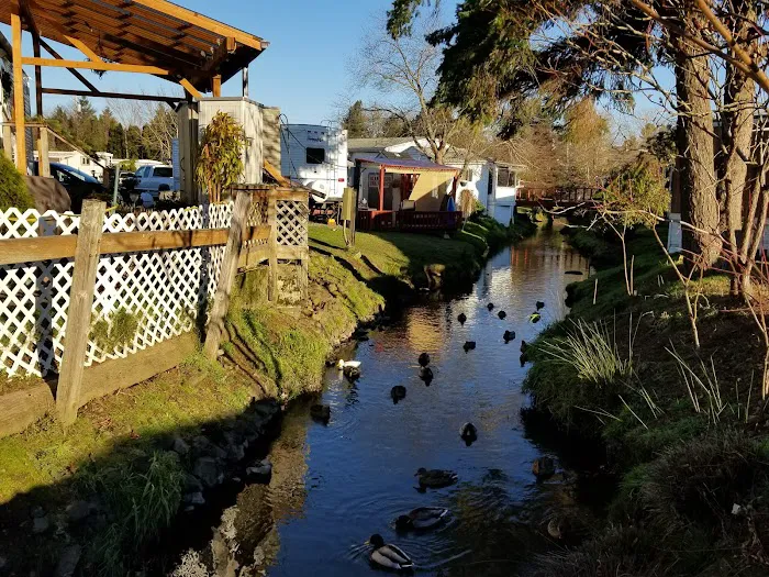 Mobile Home Corral & RV Park Picture 7