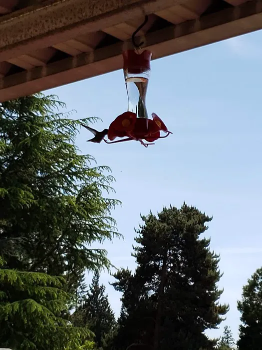 Seminole Estates Picture 6