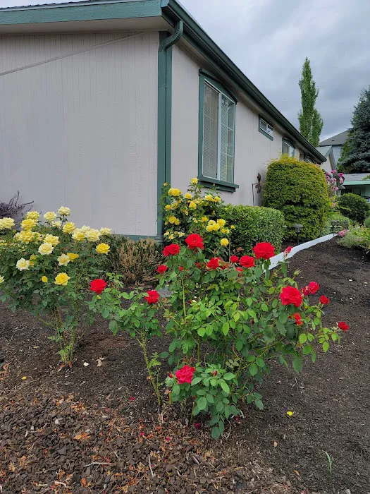 Seminole Estates Picture 9