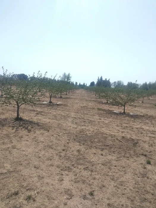 Chaparral Mobile Ranch Picture 1