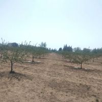 Chaparral Mobile Ranch ico