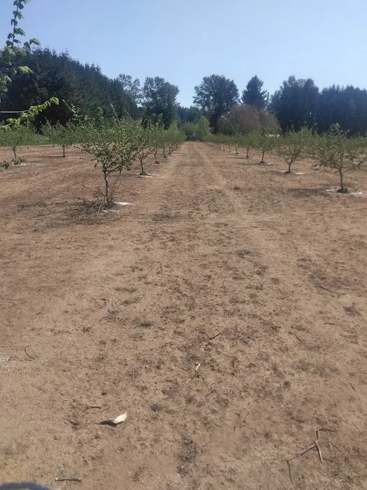 Chaparral Mobile Ranch Picture 3