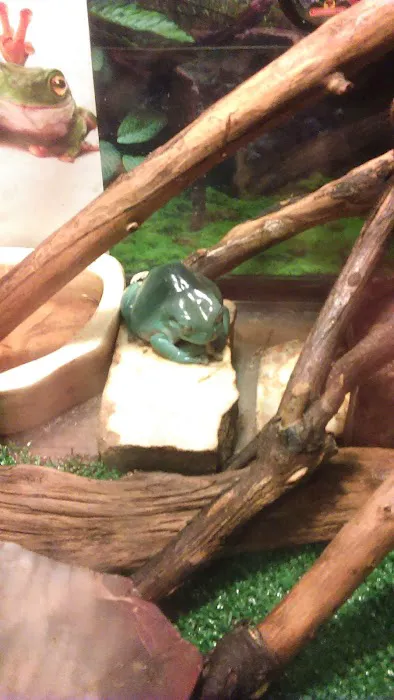 Chaparral Mobile Ranch Picture 2