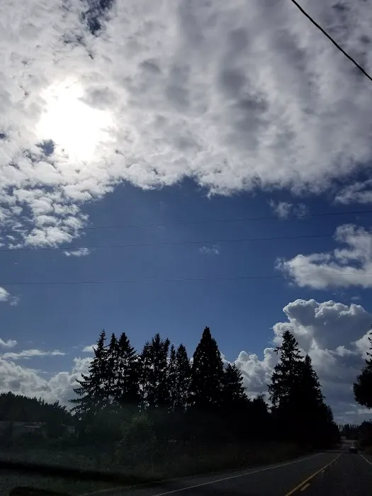 Chaparral Mobile Ranch Picture 5